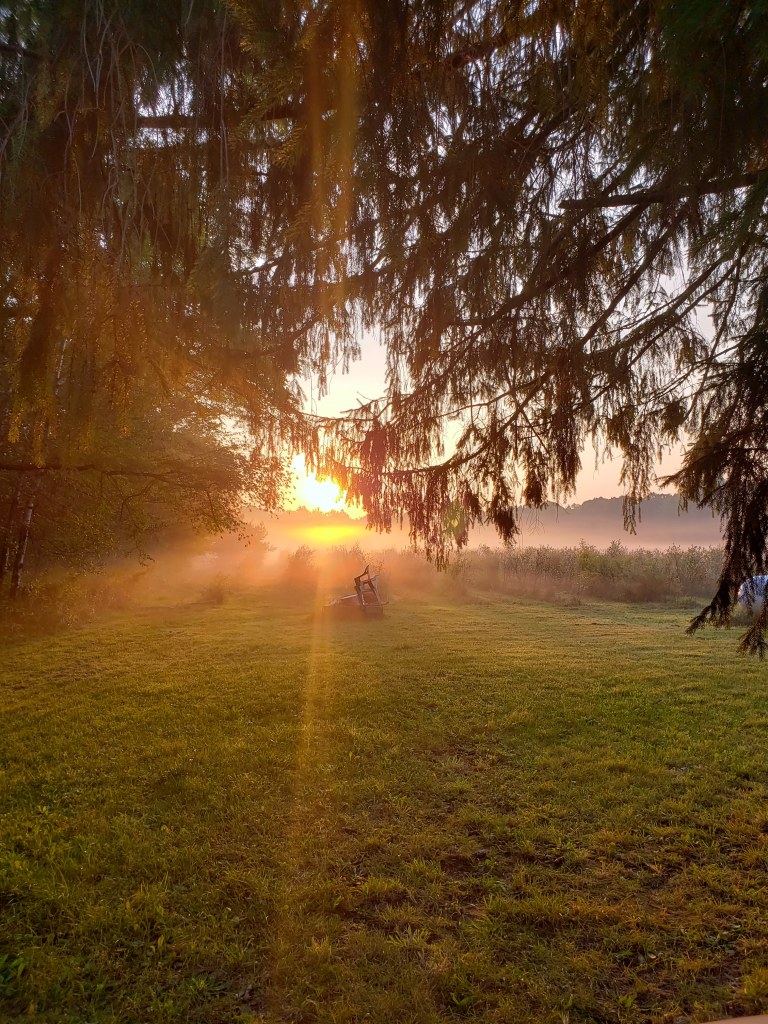 Argento Acres Sunrise